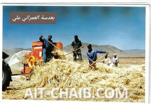 FB IMG 1655285211642