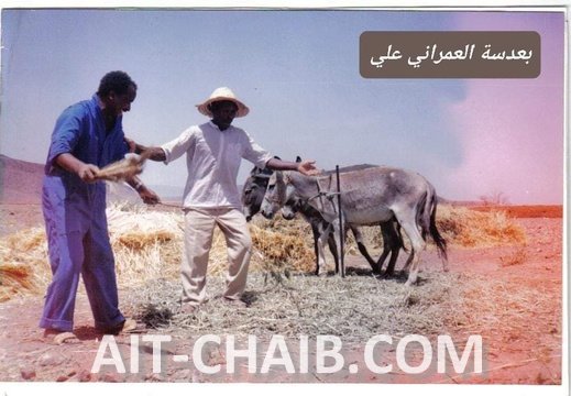 FB IMG 1655285229935