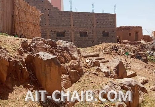 FB IMG 1655287417068