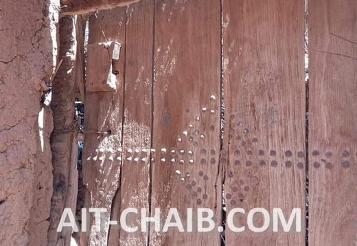 FB IMG 1655287477430