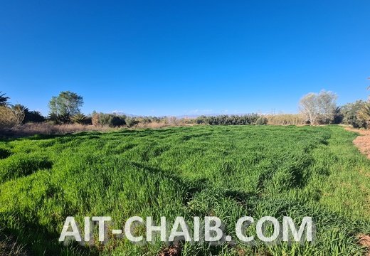 بعدسة يوسف ايت شعيب